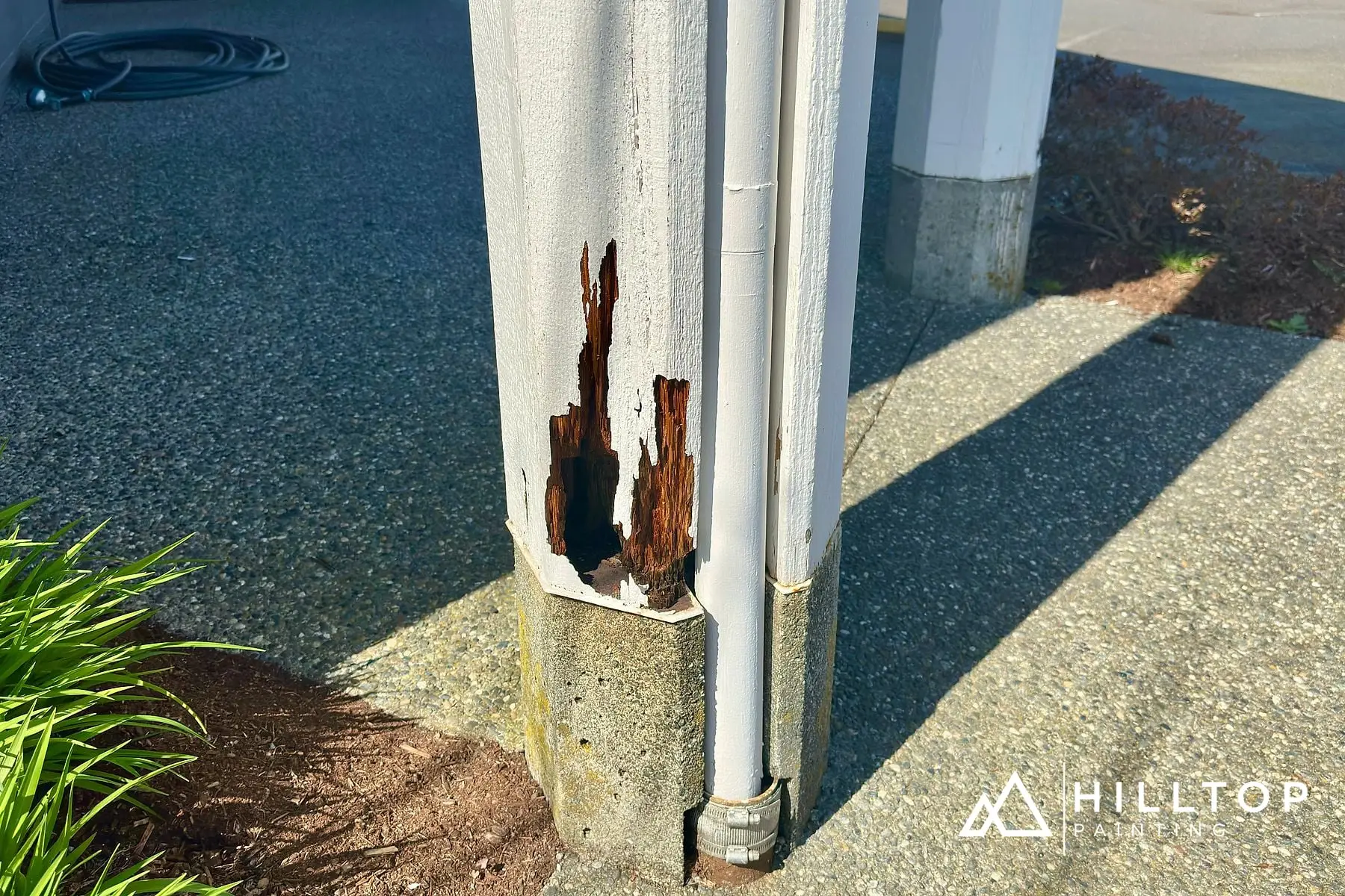 The Vault Wine Bar, Blaine — Full Repaint, Bondo Repair & a Fresh Sign — photo 6