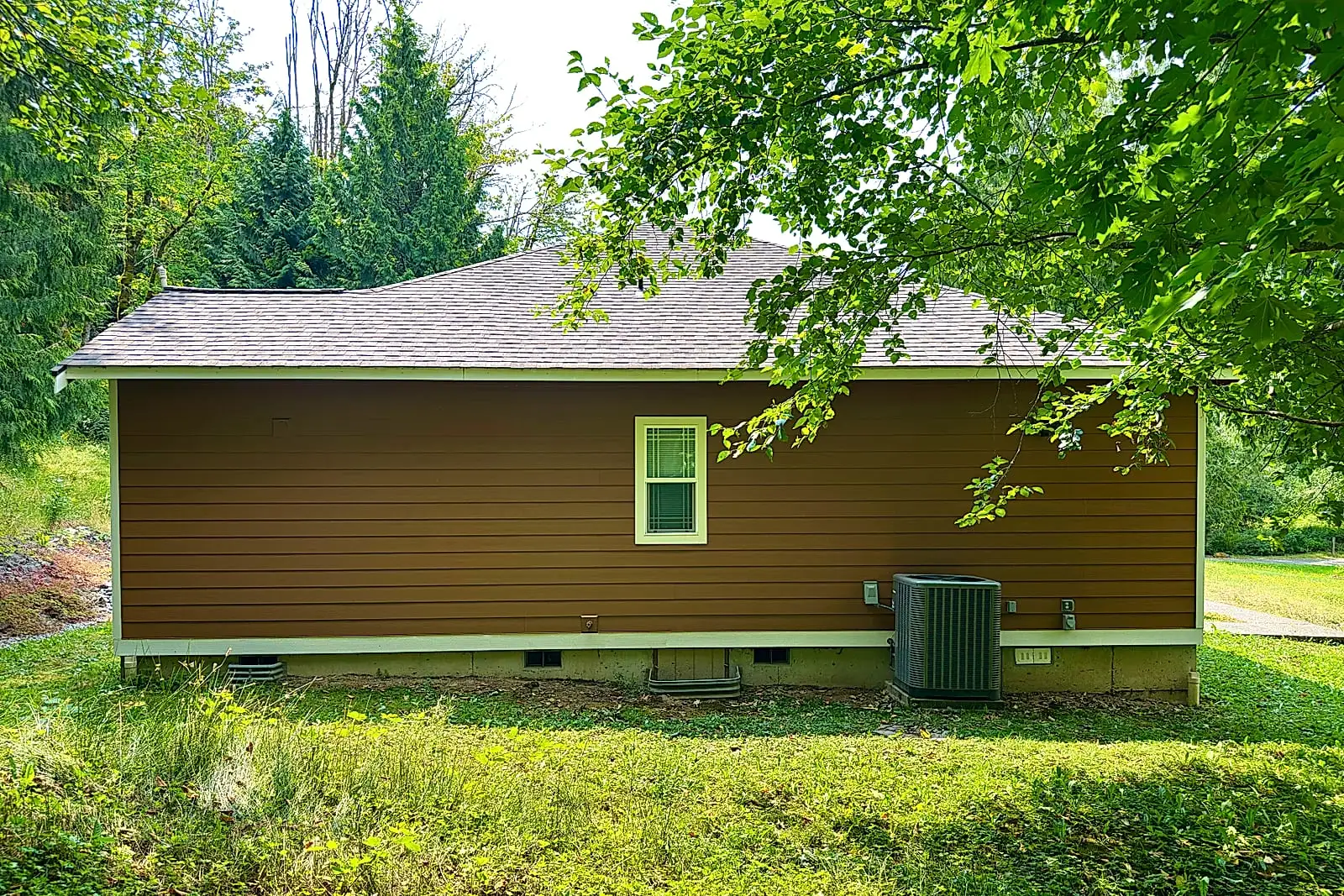 Moss, Mildew & Your Siding: A Whatcom County Survival Guide